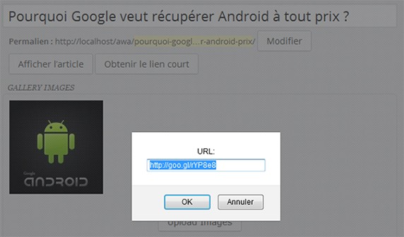 Lien raccourcisseur d'URL Goo.gl dans WordPress