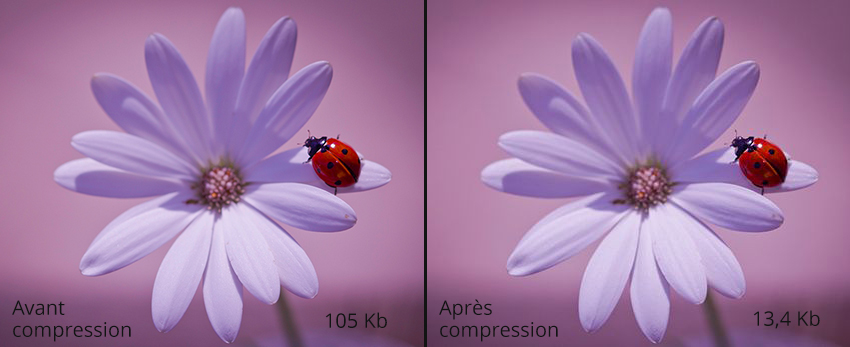 Compresser la qualité d’une image dans WordPress sans plugin ou Photoshop