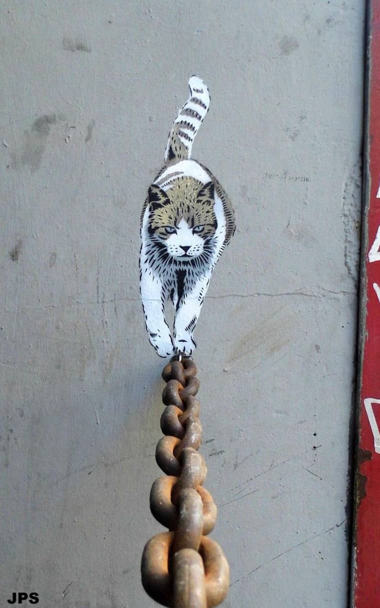 street art chat qui marche