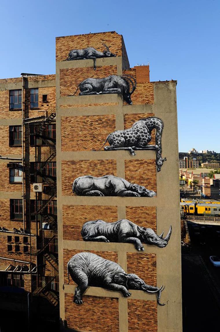 street art zoo savane