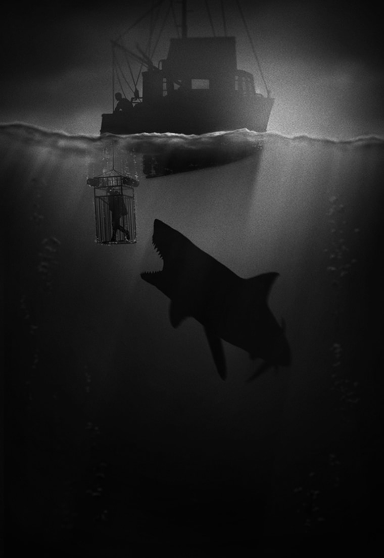 cage requin