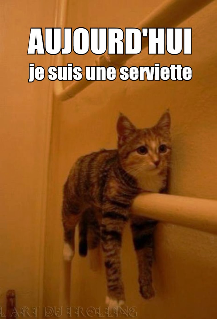 chat serviette