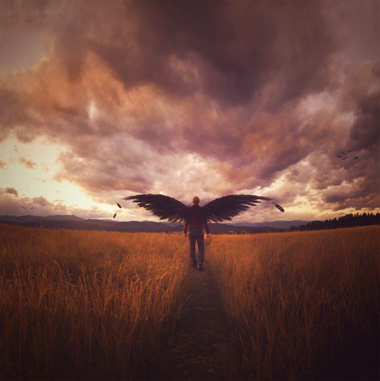 joel robison surrealiste ange