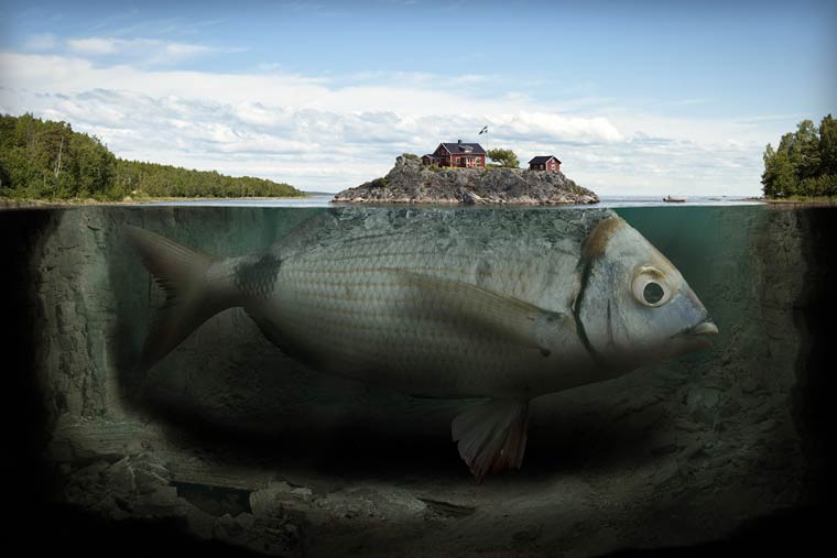 Erik Johansson ile du poisson