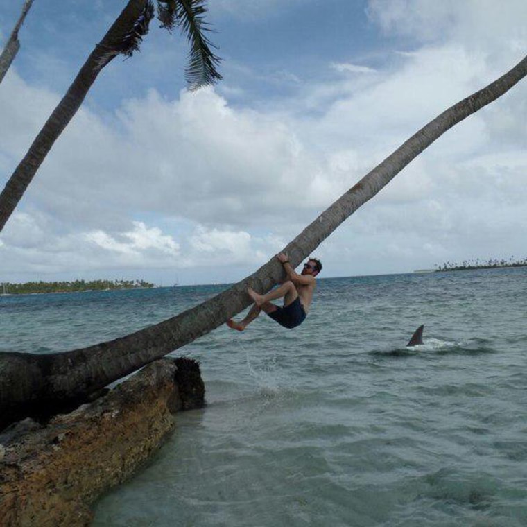 il monte sur un cocotier attention requin