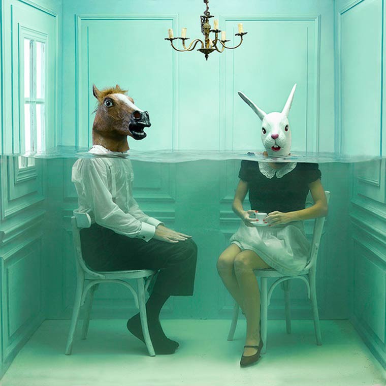 the unseen photographie cheval et lapin