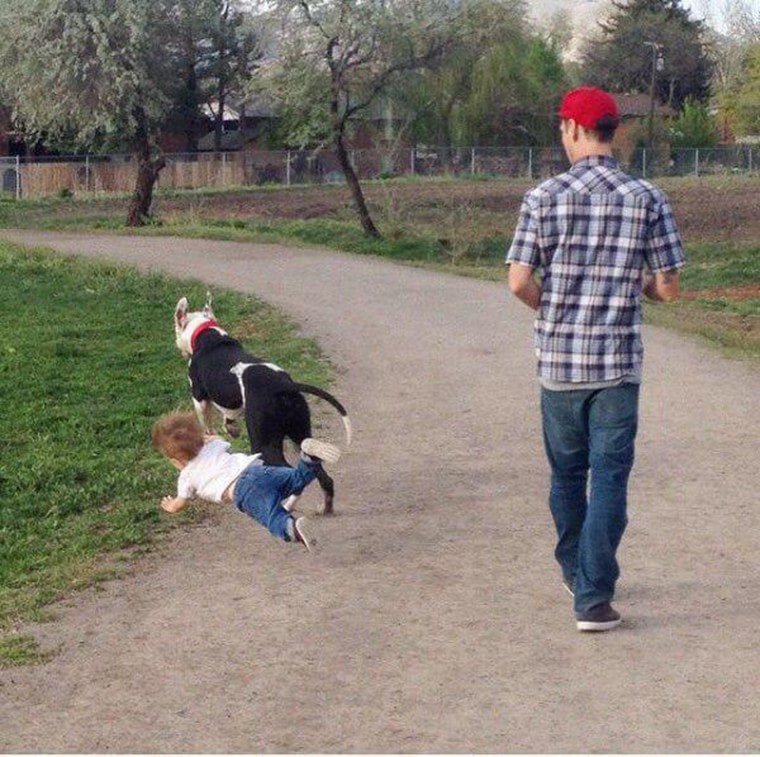 un enfant tombe a cause de son chien