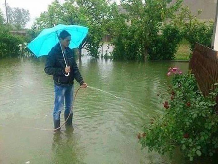 inondation il arrose ses plantes