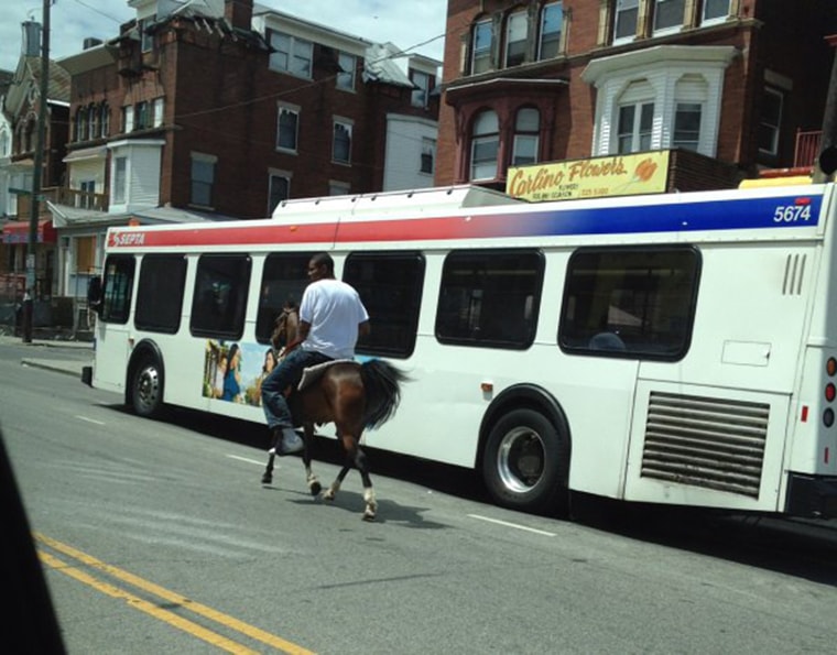 Street ghetto horse wood