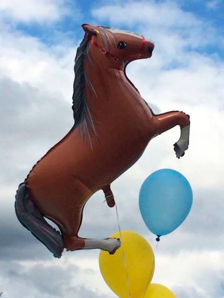 ballon cheval sexe