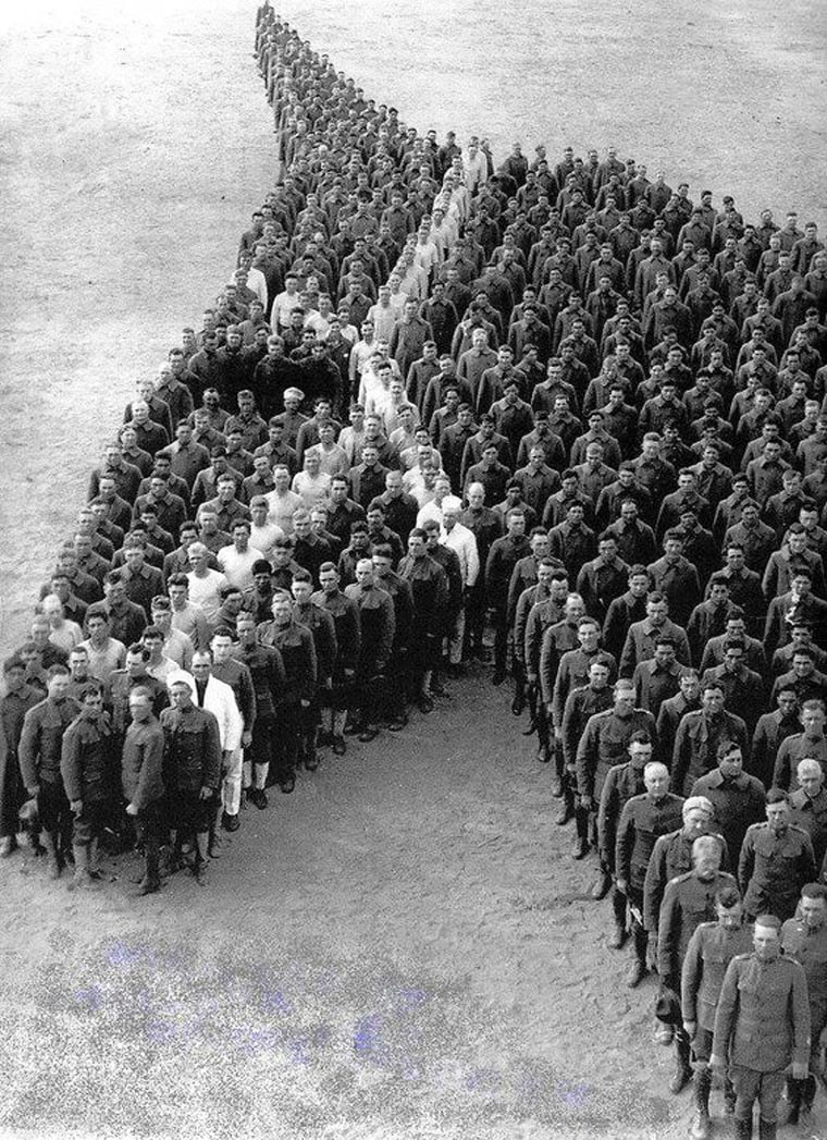 le beau cheval