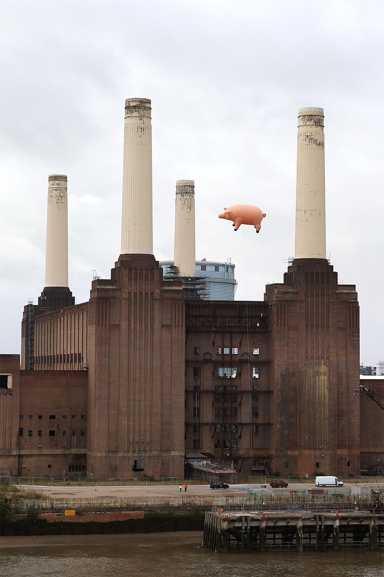 pink floyd new album cover