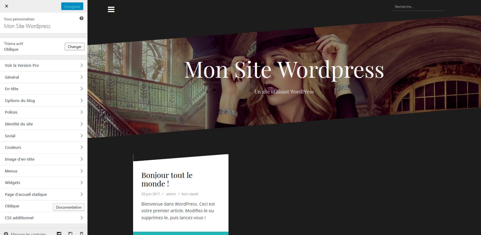 7 modifier les options du theme wordpress